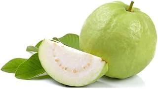 Fresh Thai Guava Indian, 1 Pc - Fresh, 300 Gm