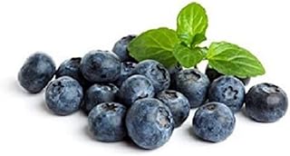 Fresh Premium Blueberry, 125 g Pack