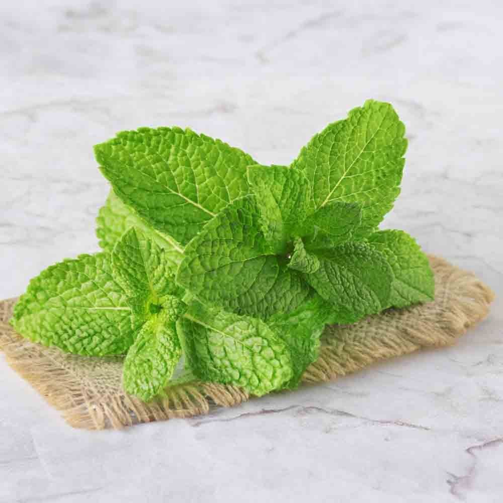 Mint (Cleaned and Packed)