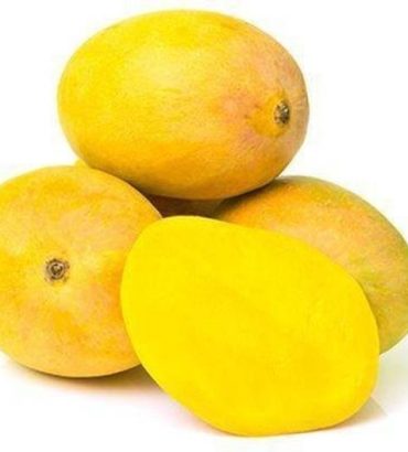 Ratnagiri Alphonso Mango