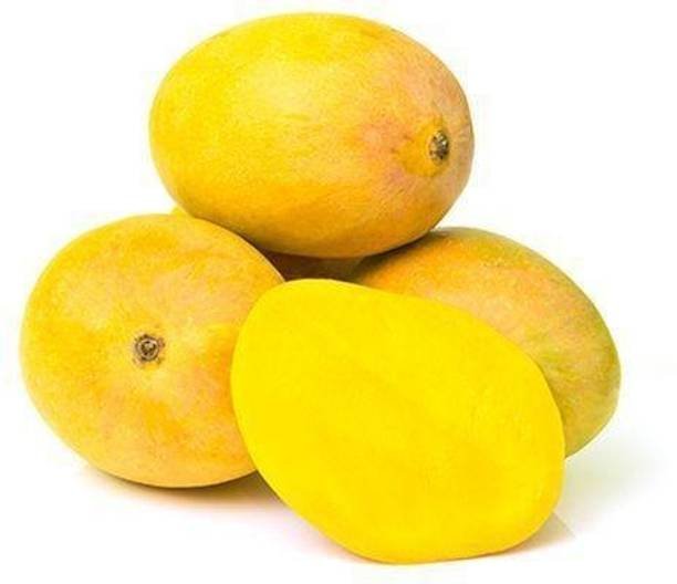 Ratnagiri Alphonso Mango