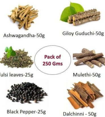 Organicgreen Herb Immunity Booster Kadha combo pack Gil