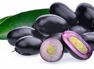 Jamun regular