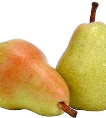 Pear Beauty Green (Imported)