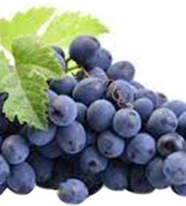 Grapes Bangalore Blue