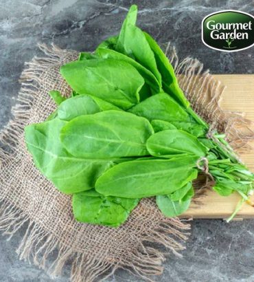 Organic Naturoponic Spinach (without roots) Leafy