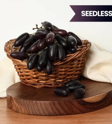 Grapes Black Seedless
