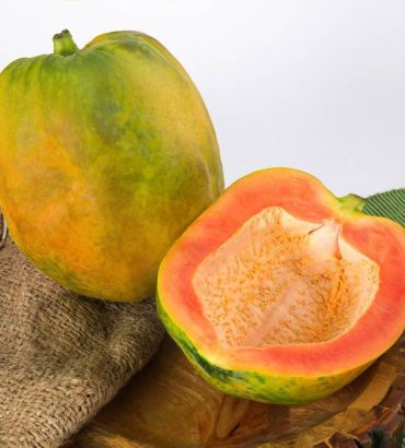 Papaya Semi Ripe